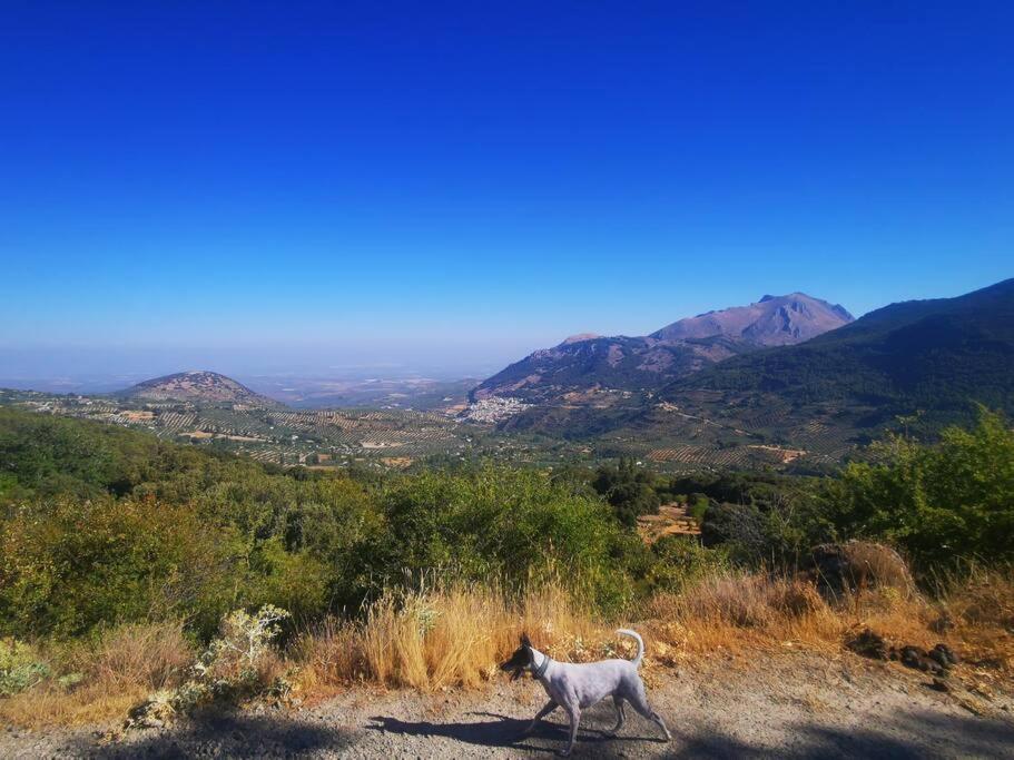 Encarnacion * Torres (Jaen)